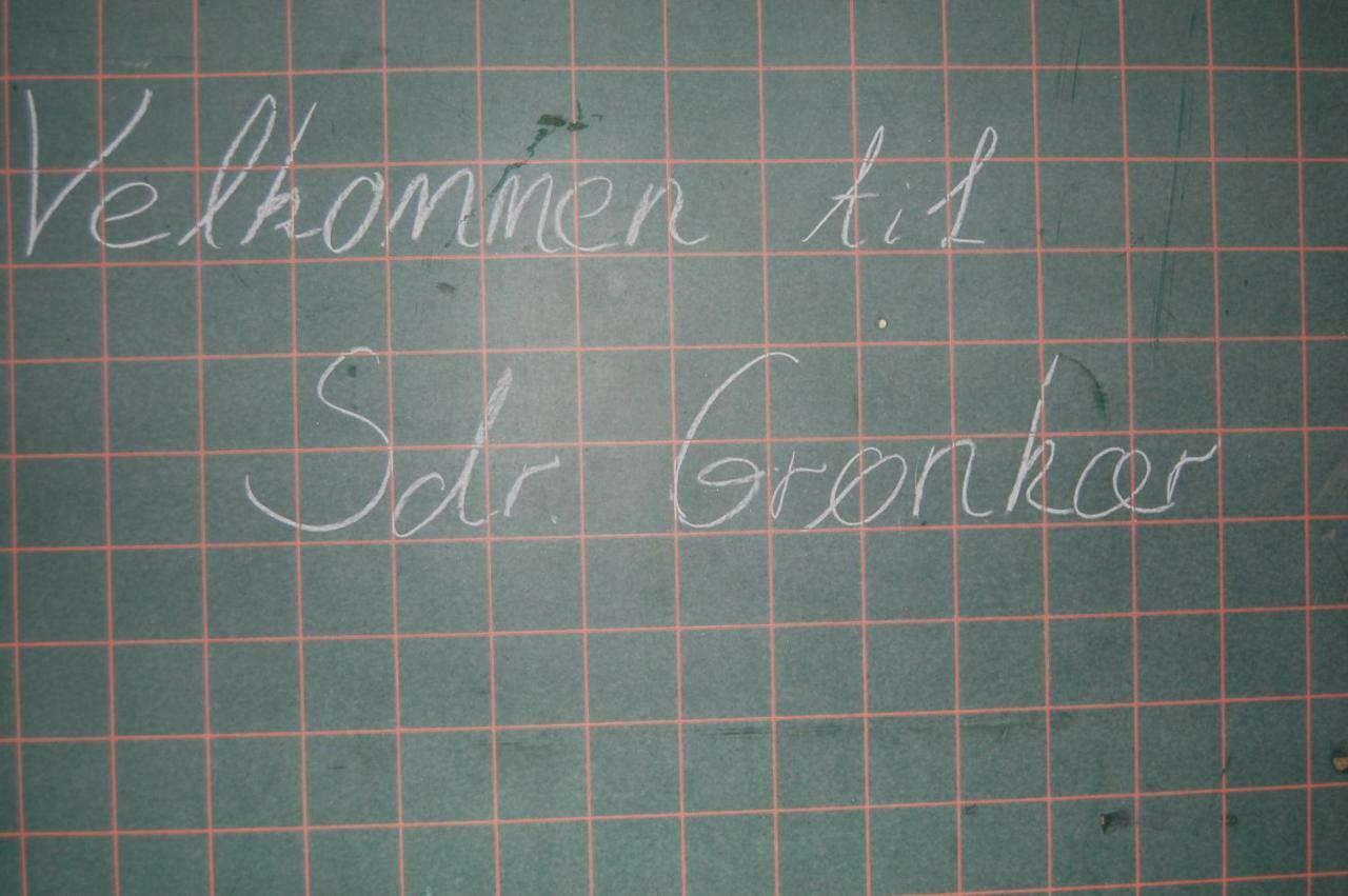 Sdr Gronkaer Feriehus - Holiday House Bækmarksbro Zewnętrze zdjęcie